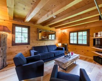 Cosy all-wood chalet, Chamonix valley, breathtaking Mont Blanc view - Servoz - Salon