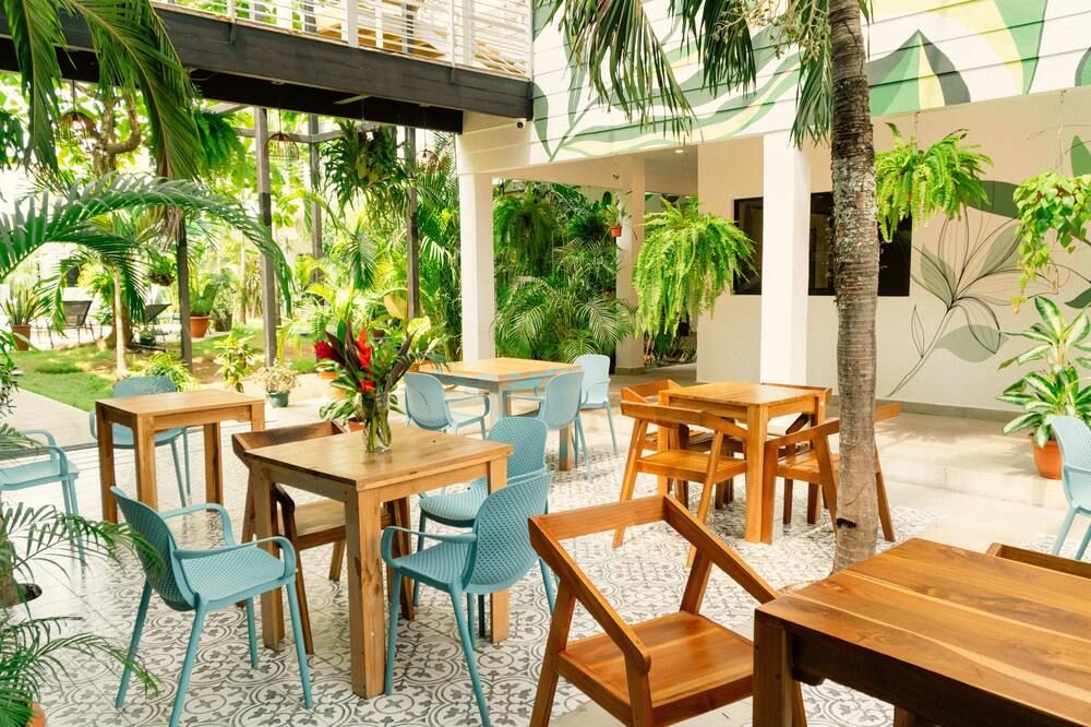 Wide Mouth Frog - Quepos - Restaurante