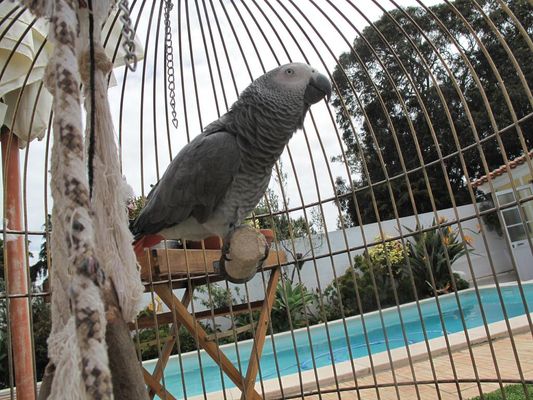 Casa dos Cactos - Vila Nova de Milfontes - Attractions