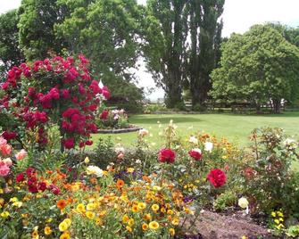 Tower Road Motel - Matamata