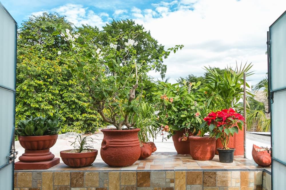 Suite Studio Serviced Apartments - Mérida - Vista del exterior