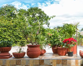 Suite Studio Serviced Apartments - Mérida - Außenansicht