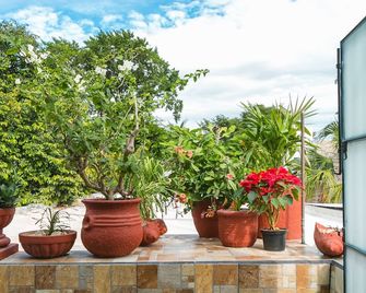 Suite Studio Serviced Apartments - Mérida - Vista del exterior