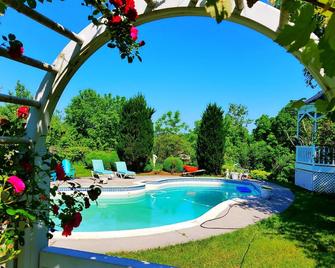 The Van Gogh Room in Villa - Purcellville - Piscina