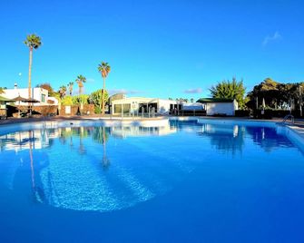 Palmeras Garden - Playa Blanca - Pool