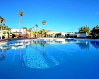 Palmeras Garden - Playa Blanca - Piscina