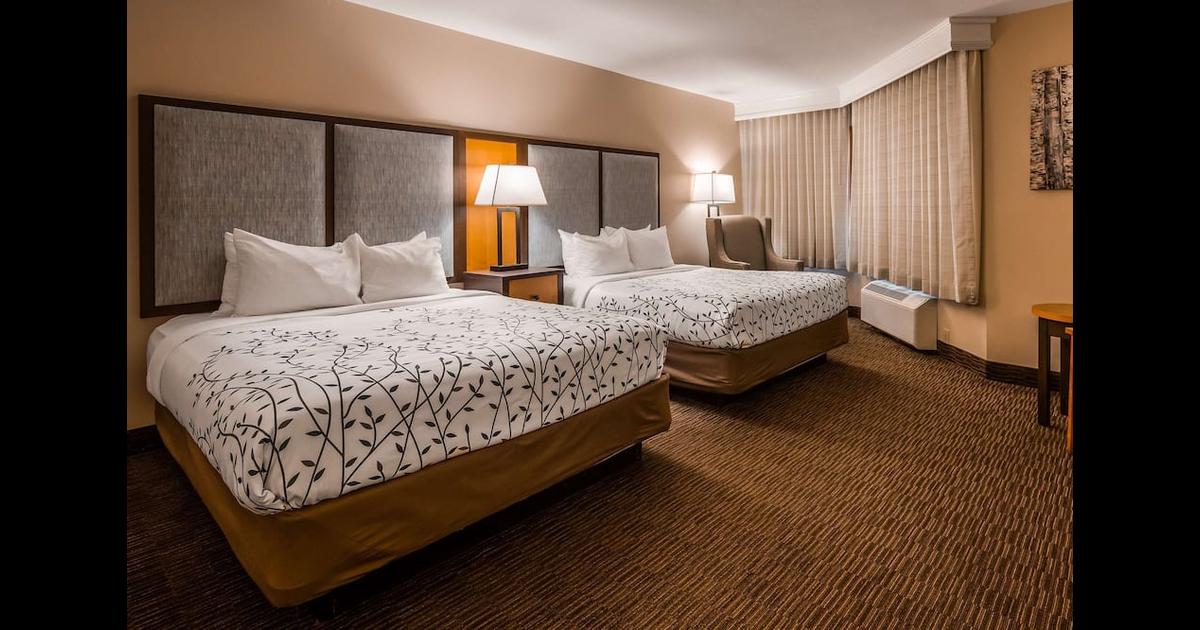 Holiday Inn Express Birch Run - Frankenmuth Area, An IHG Hotel C