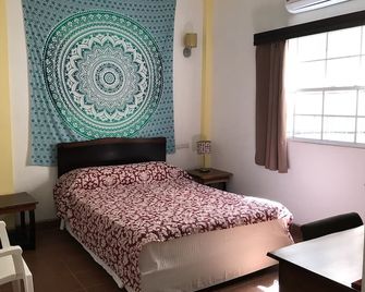 One Queen Bed Room At Easy Inn Belize City - Belize City - Makuuhuone