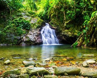 Tranquil and Peaceful Parlatuvier 2 - Castara