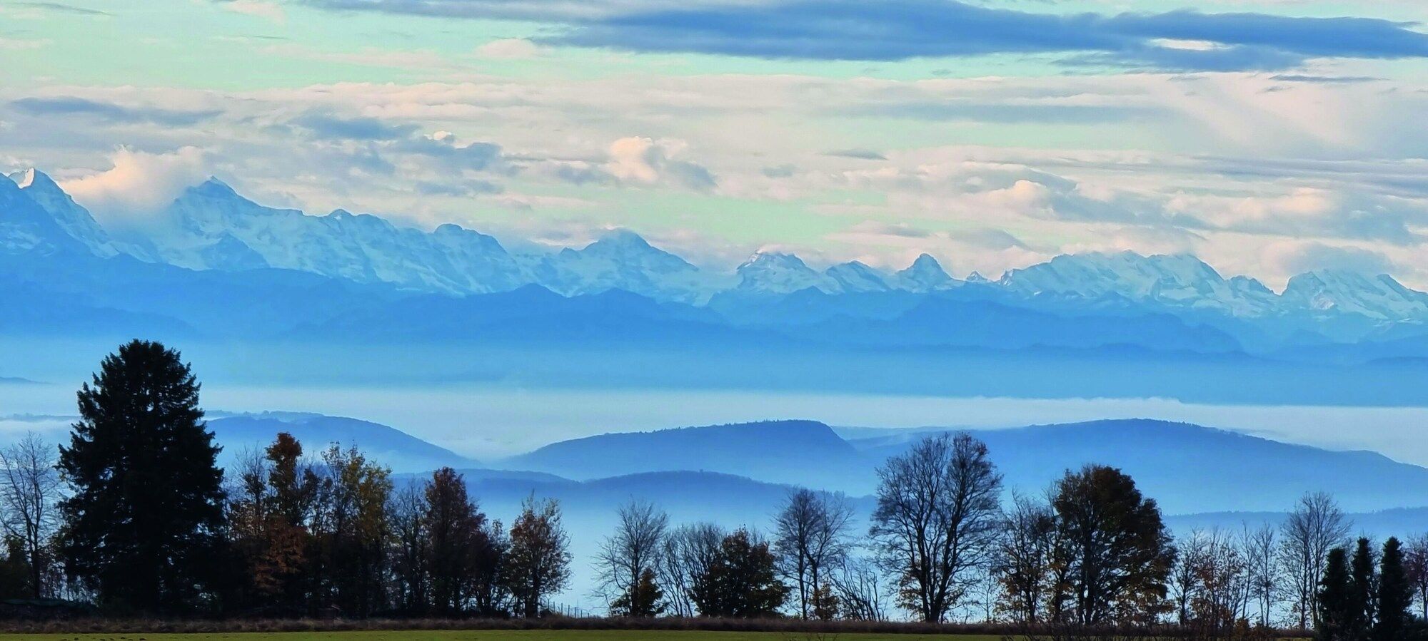 Bio- Und Wellnesshotel Alpenblick - Hochenschwand - Outdoor view