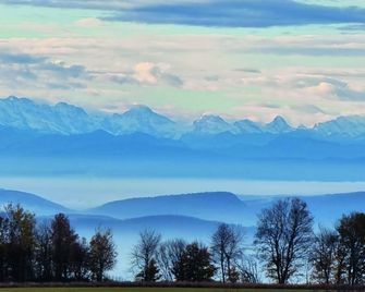 Bio- Und Wellnesshotel Alpenblick - Hochenschwand - Außenansicht