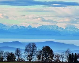 Bio- Und Wellnesshotel Alpenblick - Hochenschwand - Outdoor view