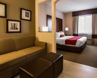 Comfort Suites Stafford - Stafford - Habitación