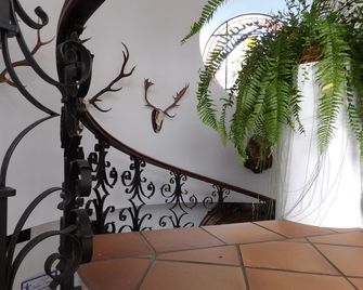 Palacio Doñana , Rural & Luxury - El Rocío - Сходи