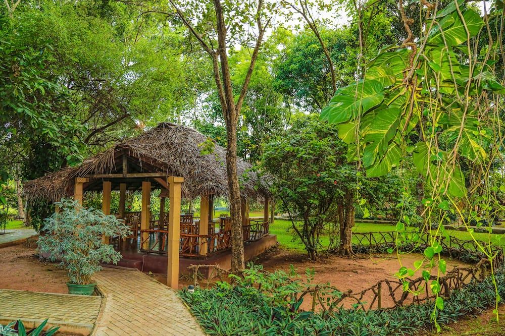 Pelwehera Village Resort - דאמבולה