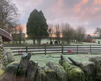 Llwyn Onn Guest House - Betws-y-Coed - Byggnad
