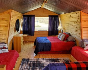 Silvery Lupine Cabin 5 - 2 bedrooms in Creede, Colorado - Creede - Bedroom