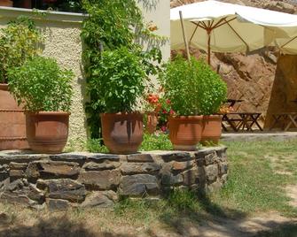 Zorbas Apartments - Volissos - Patio