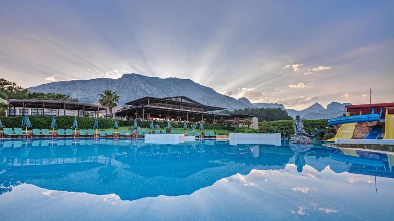 Gypsophila Club Marine