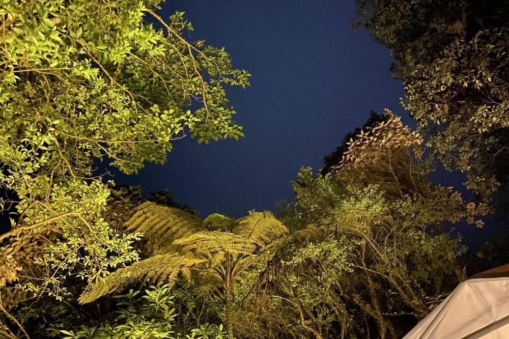 Way To Heaven Glamping - Santa Elena - Outdoor view