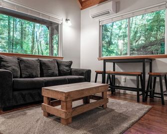 Secluded Cabin in Redwood Forest - Crescent City - Living room