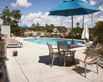 Hampton Inn Tuscaloosa-East - טוסקלוסה - בריכה