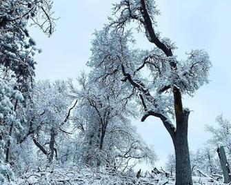 Guest Cabin at Three Falls Ranch - Posey - Annehmlichkeit