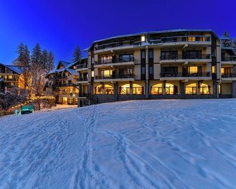 Hotel Casa Viorel jacuzzi & saunas - פויאנה ברשוב - בניין