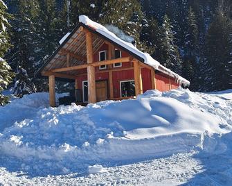 A cabin in Retallack BC, with all the amenities. Adventure right out the door. - New Denver - Building