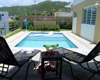 Villa 'Don Pepin' Ocean Front Villa With Outdoor Pool! - Yabucoa - Басейн
