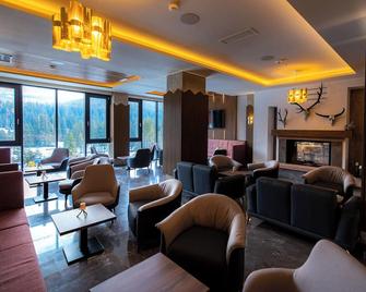 Hotel Belmont - Sinaia - Lounge