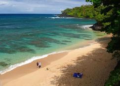 Sealodge E8-oceanfront views near secluded beach, with wifi and pool - Princeville - Strand