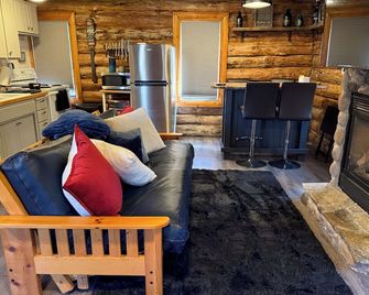 Modern Rustic authentic log cabin on Borden Lake. - Brainerd - Living room