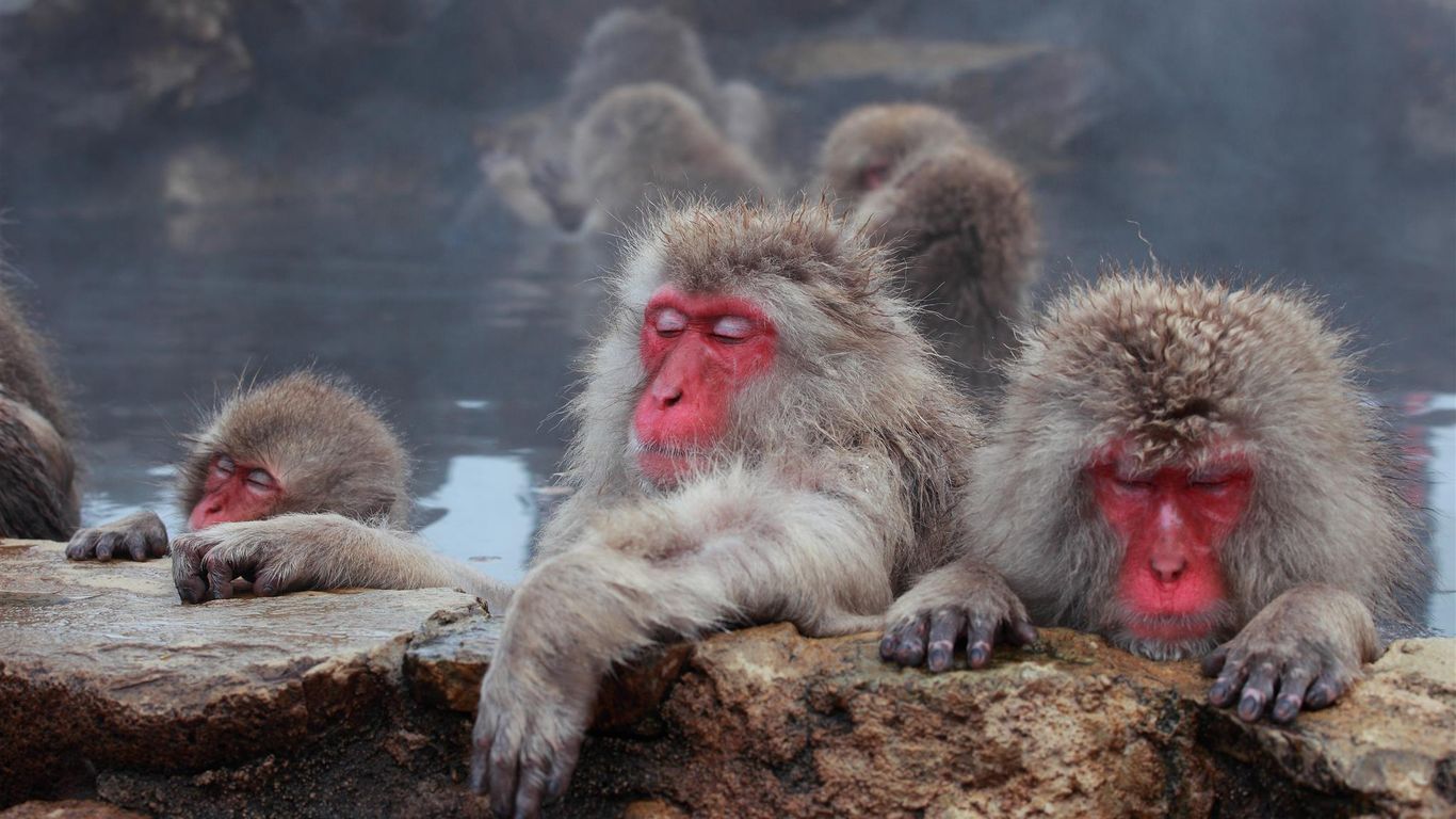 Hotel Villa Ichinose Shigakogen