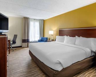 Comfort Inn Roanoke Civic Center - Roanoke - Bedroom