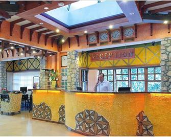 Ölüdeniz Beach Resort By Z Hotels - Ölüdeniz - Front desk