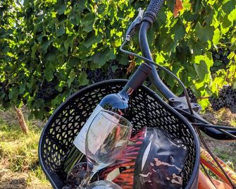 Posada Cavieres Wine Farm - Maipu