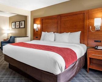 Comfort Inn Oklahoma City South - I-240 - Oklahoma City - Bedroom