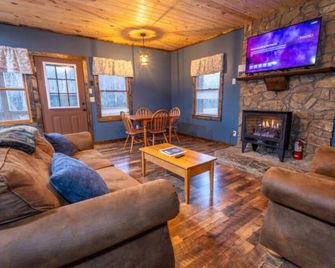 Twin Falls Cabin Bottom Duplex - Spruce Pine - Living room