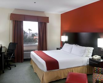 Holiday Inn Express Hotel & Suites Brownsville - Brownsville - Bedroom