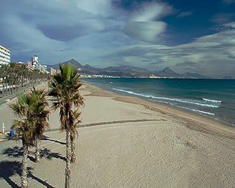 Comfortable conditioned apartment with three dormitories sorrounded by gardens. - Alicante - Playa