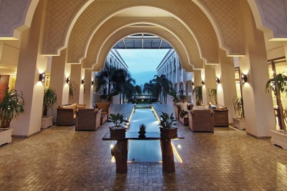 ذا بيد هوتل