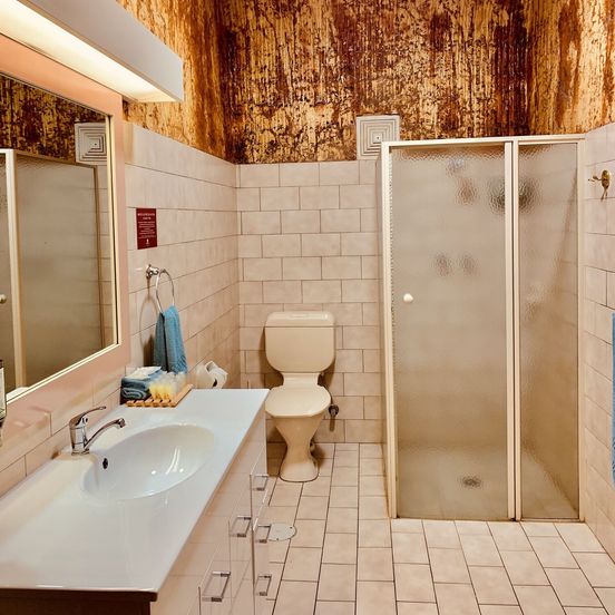 Bathroom view of Desert Cave Hotel