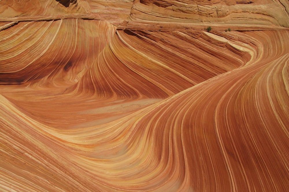 Other view of Springdale Townhome 1