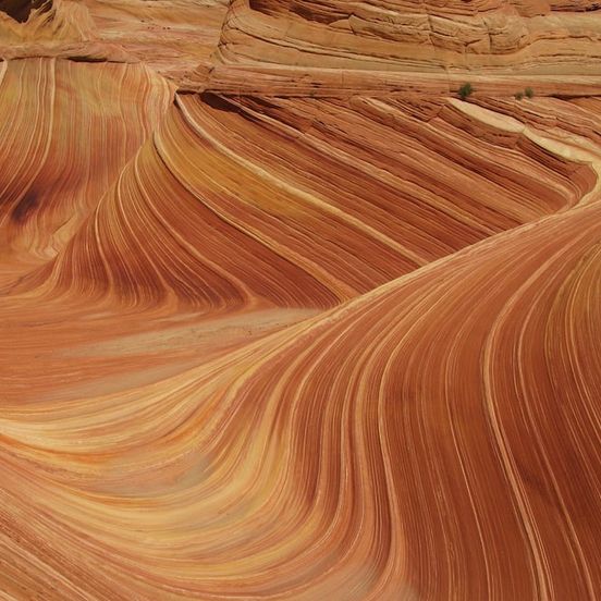 Other view of Springdale Townhome 1