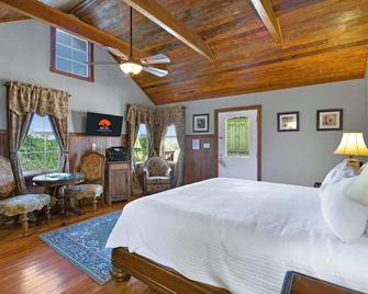 Swing On Inn- Southern Comfort - Dripping Springs - Bedroom