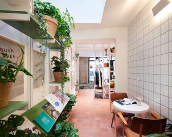 فرينش ثيوري - باريس - شرفة مرصوفة