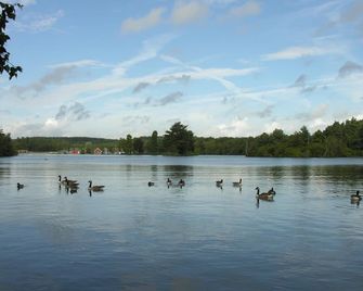 Abacus Bed and Breakfast, Blackwater, Hampshire - Camberley
