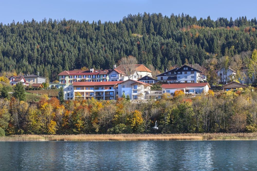 Hotel Spa Les Rives Sauvages - Malbuisson - Outdoor view