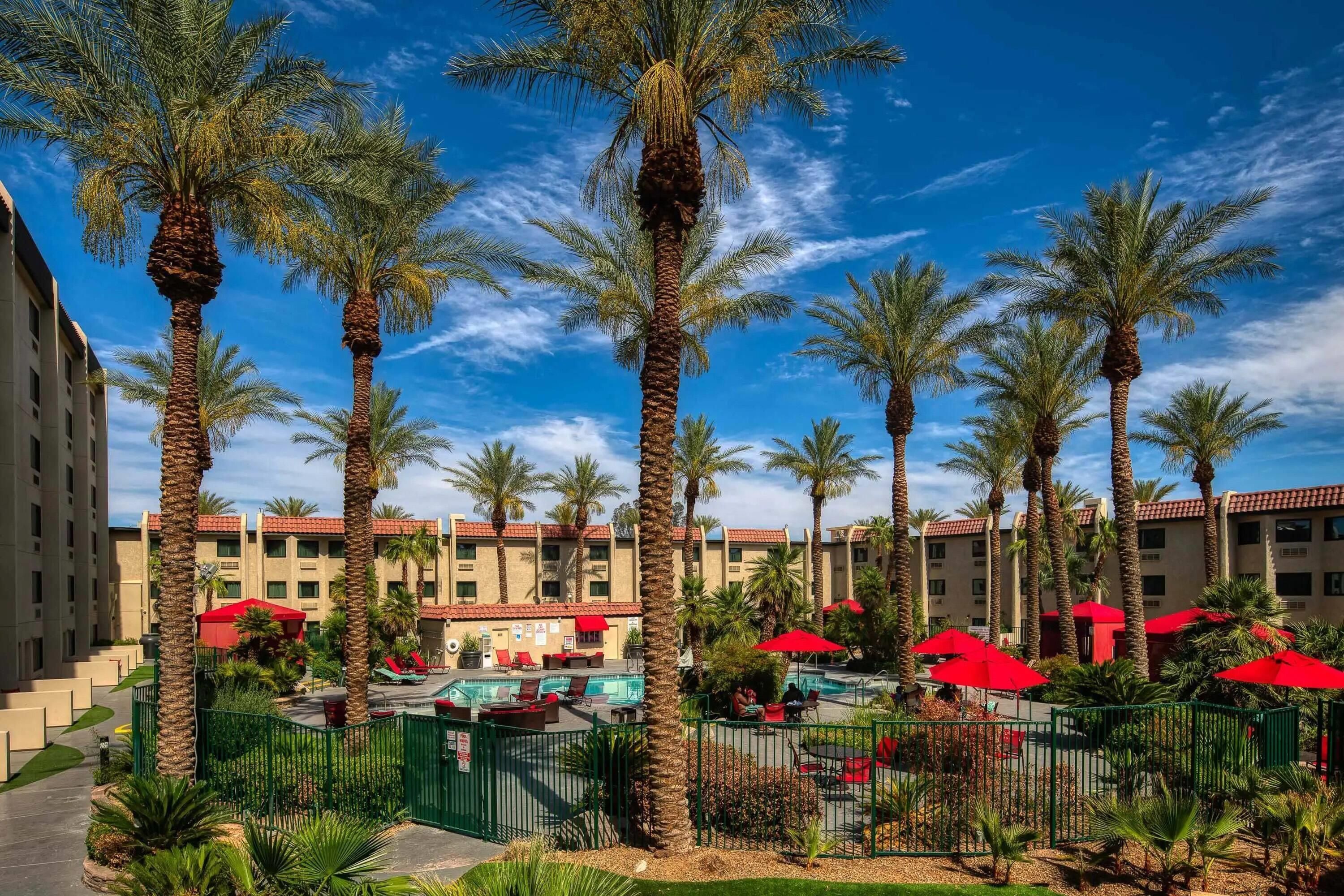Silver Sevens Hotel and Casino, a Wyndam Garden - לאס וגאס - בריכה